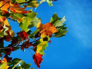 autumn in theth albania