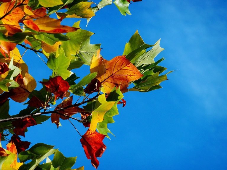 autumn in theth albania